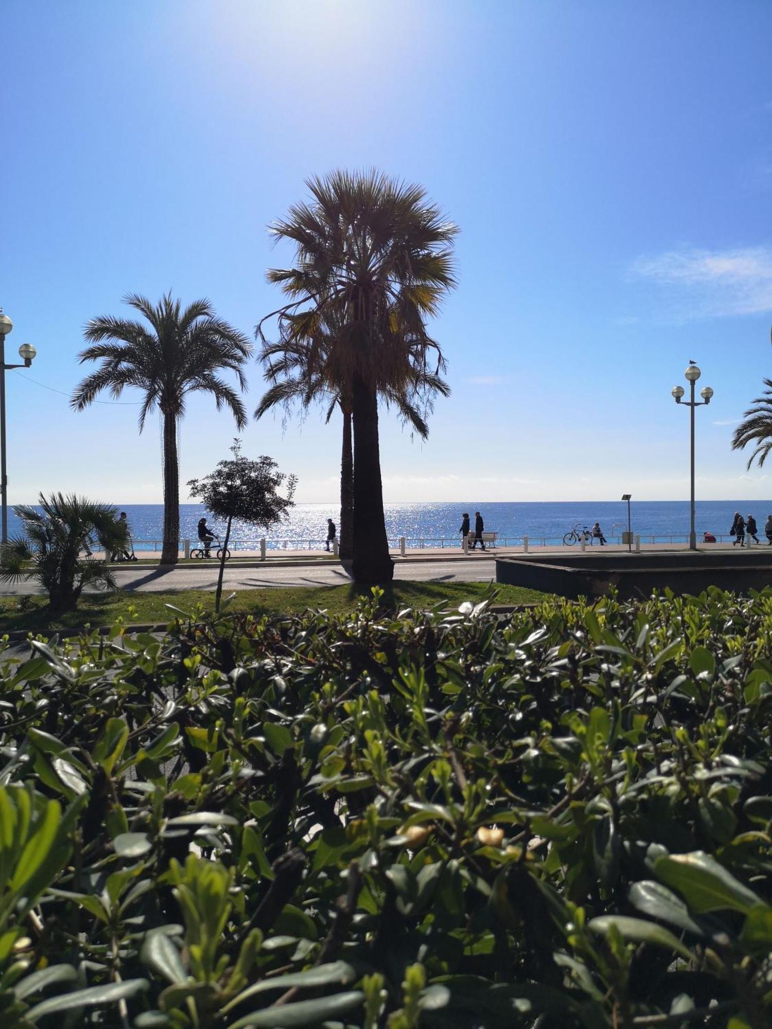 شقة Garden Atlantide Promenade نيس المظهر الخارجي الصورة
