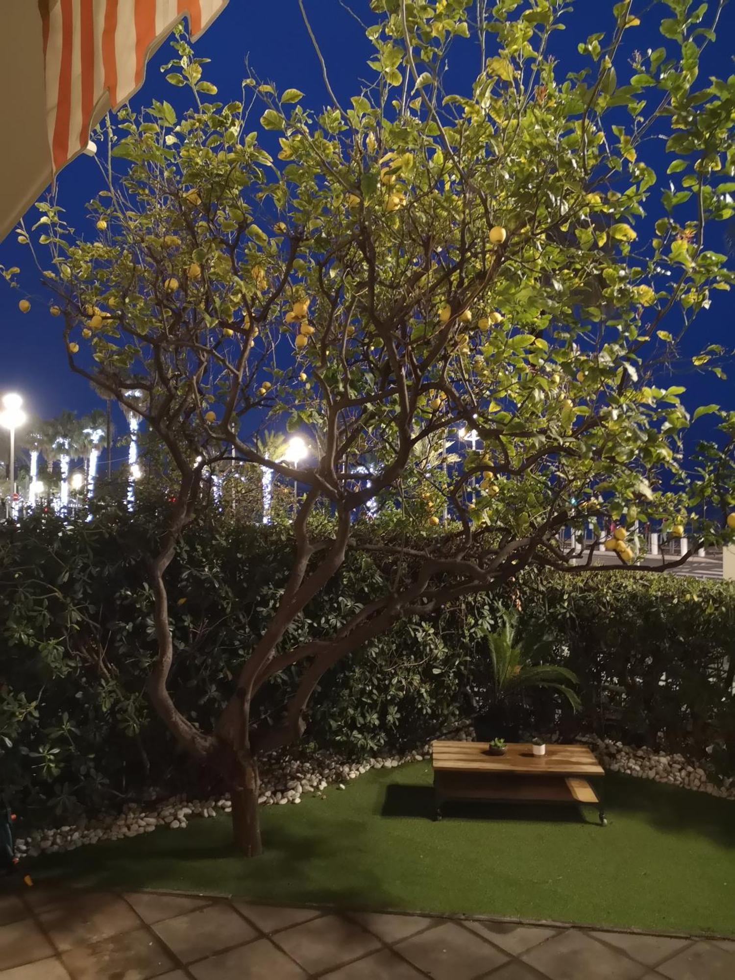 شقة Garden Atlantide Promenade نيس المظهر الخارجي الصورة