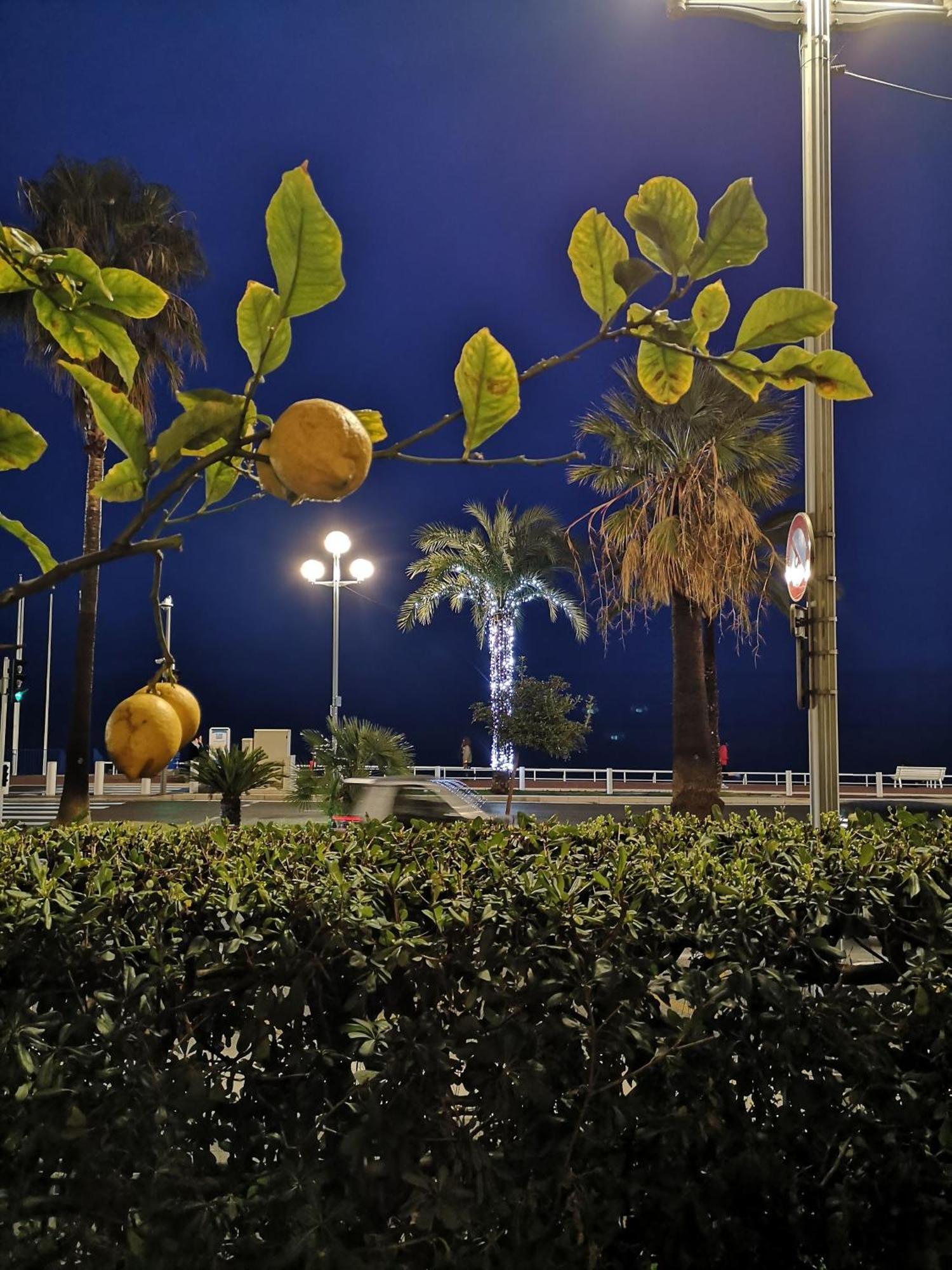 شقة Garden Atlantide Promenade نيس المظهر الخارجي الصورة